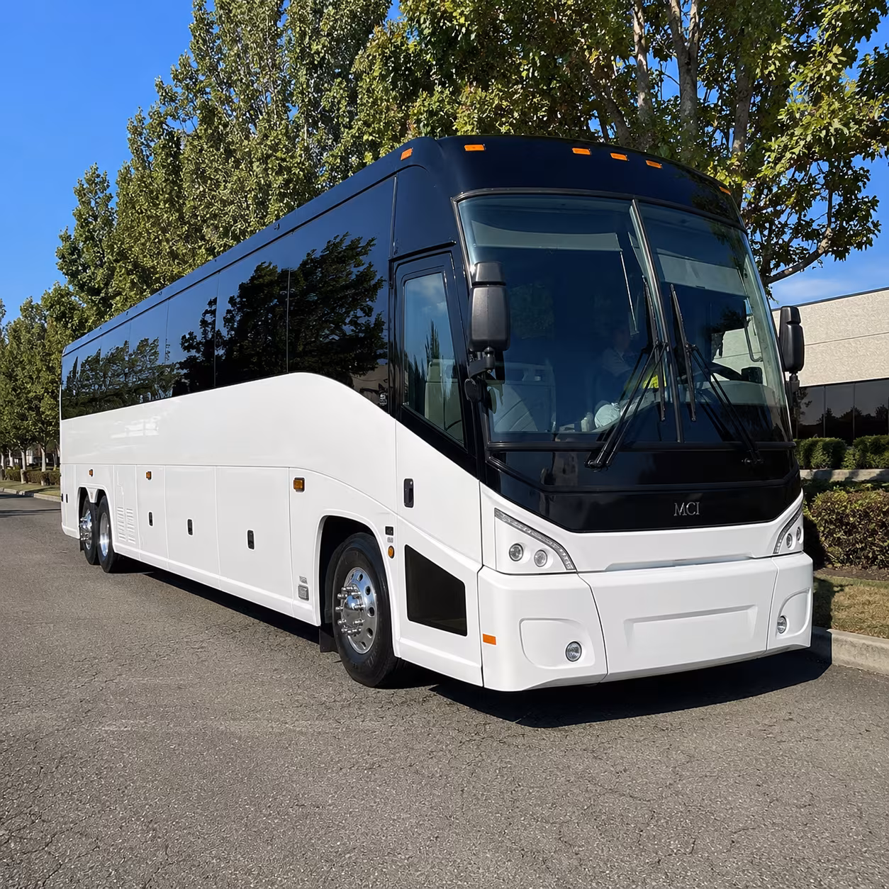 flagstaff 50 passenger charter bus